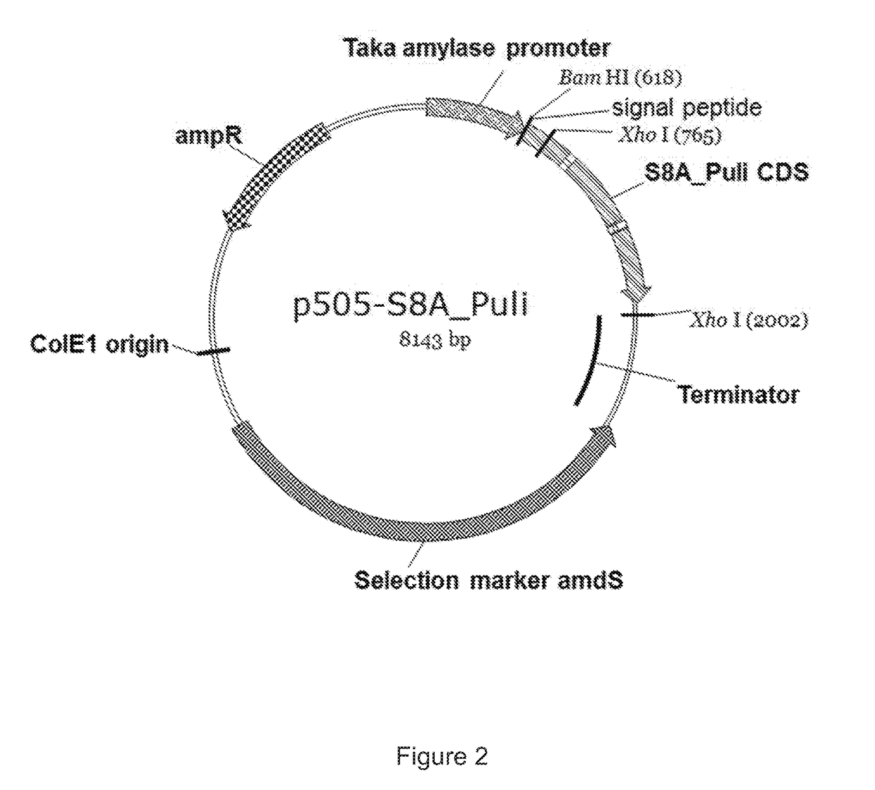 Polypeptides having protease activity and polynucleotides encoding same