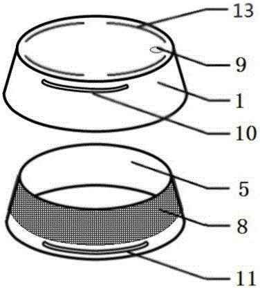 a closed petri dish