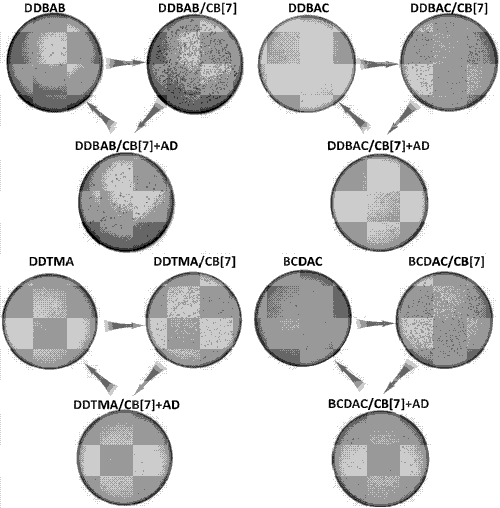 Supermolecular bactericide as well as preparation method and sterilization method thereof