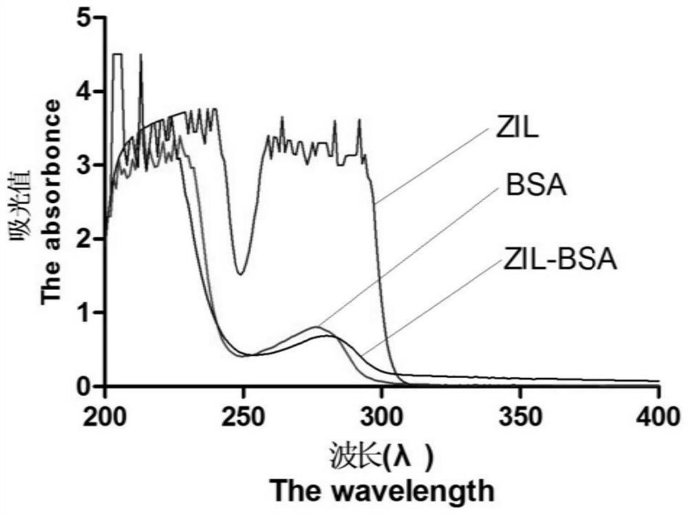 Preparation and application of zilpaterol hapten, complete antigen and monoclonal antibody