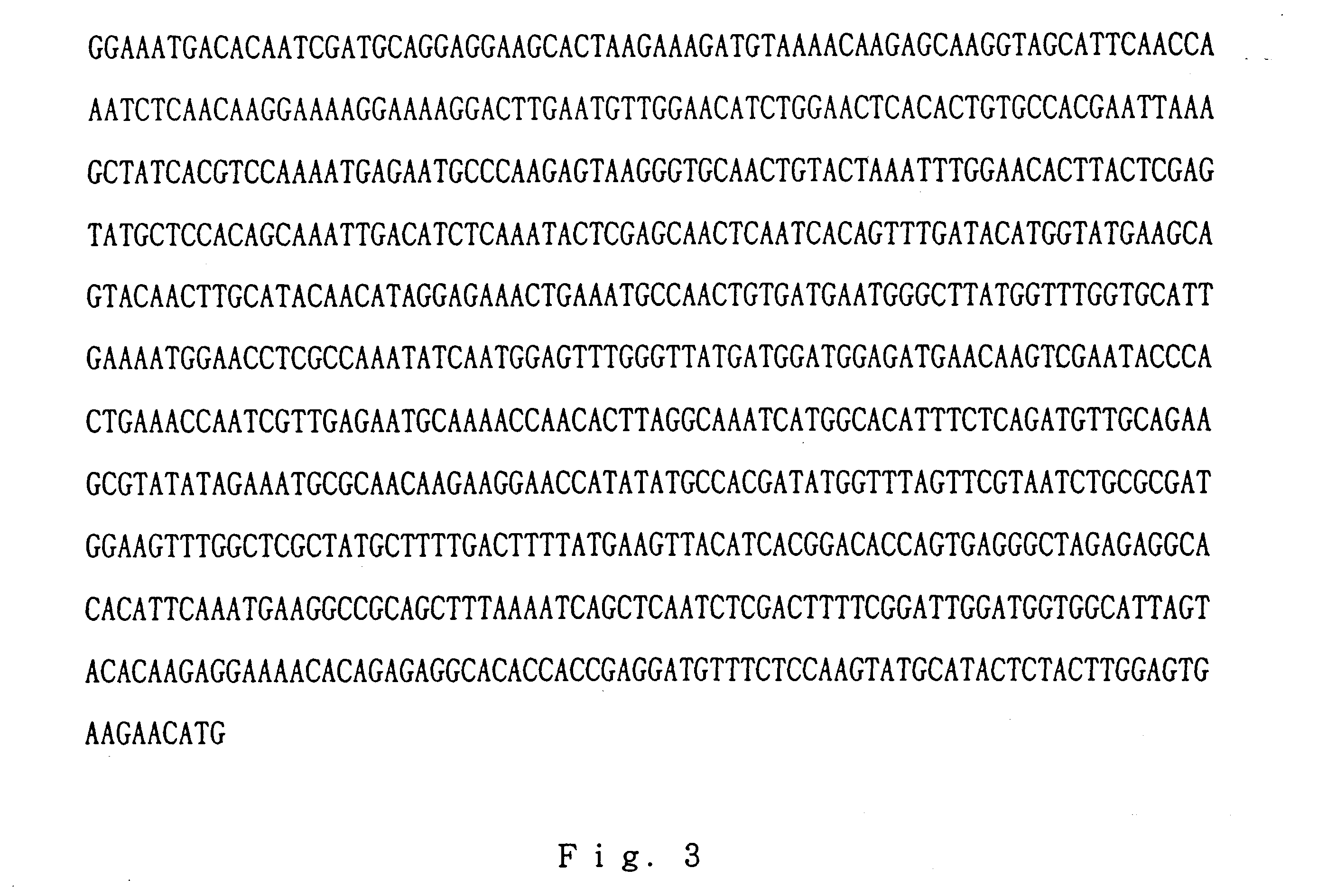 Recombinant vector, method for giving immunity against PVY-T to potato plant, and potato plant having immunity against PVY-T