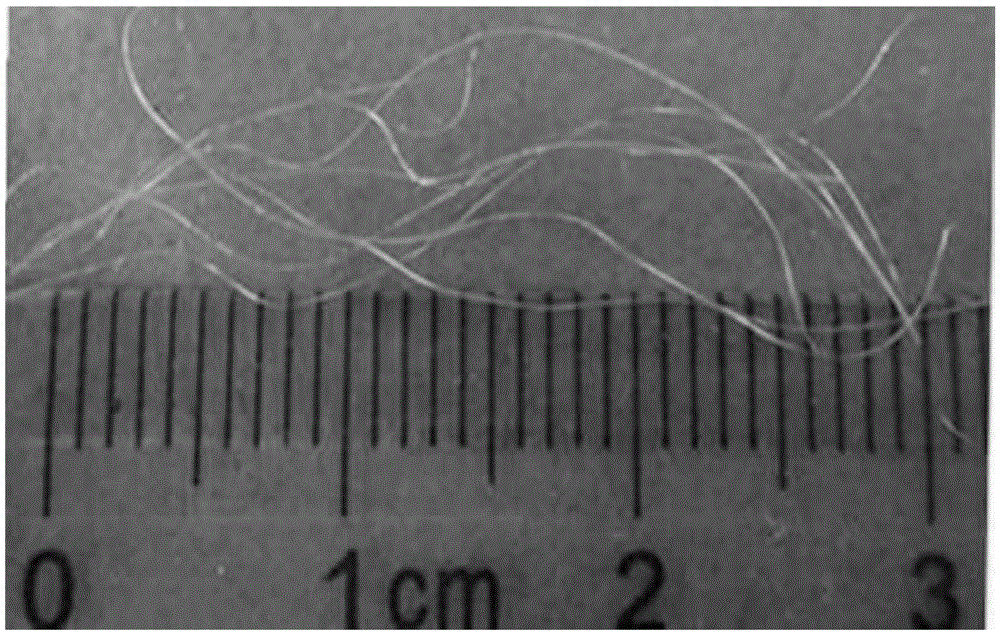 Preparation method of Ag@SiO2-core-shell-structure-modified g-C3N4 photocatalysis fiber