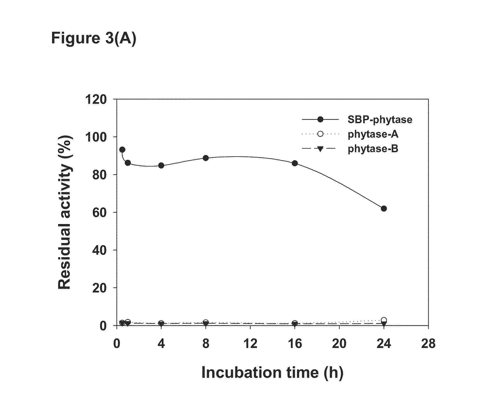 Method for increasing thermal stability and retaining activity of a protein