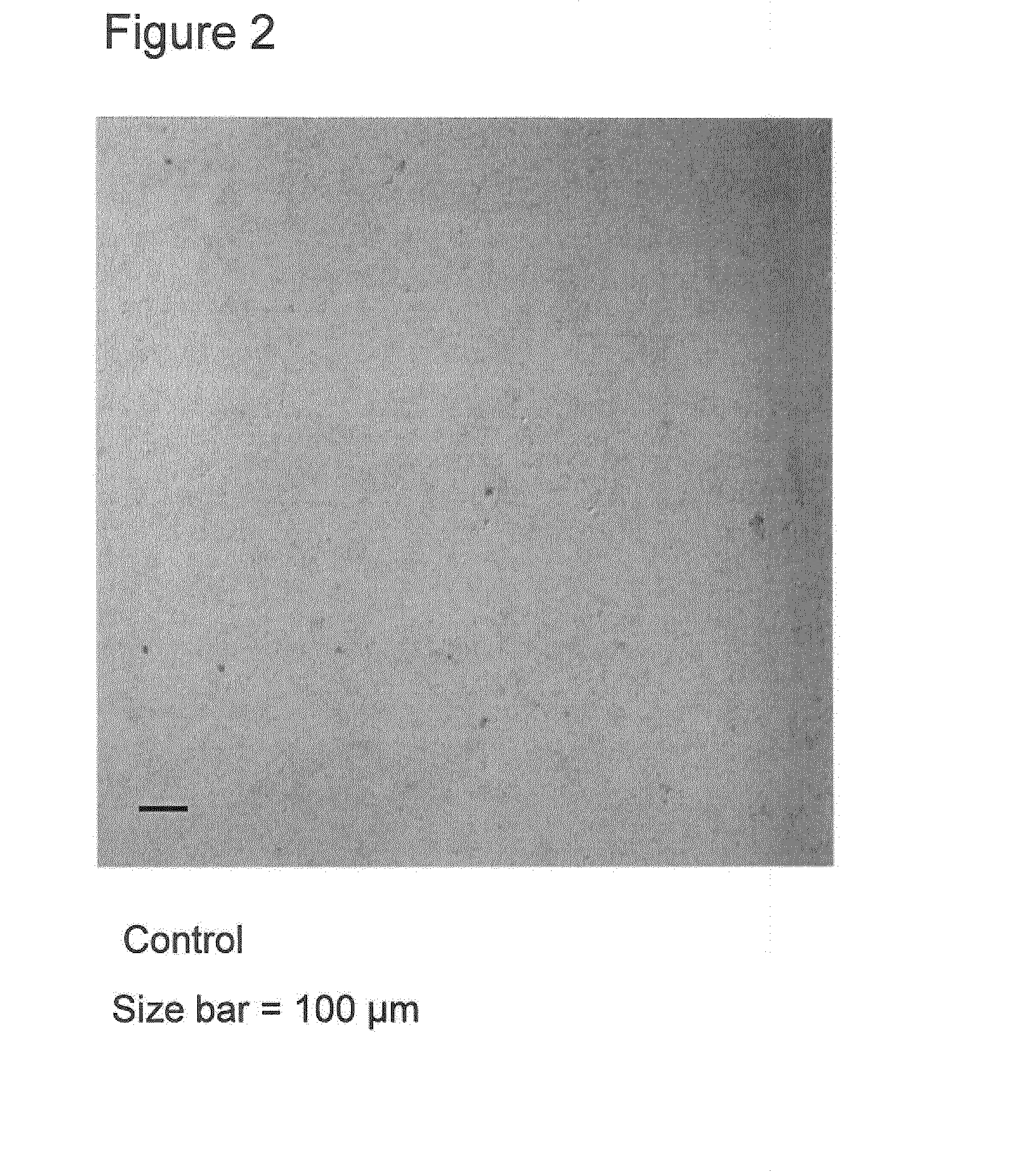 Method of producing frozen confection product