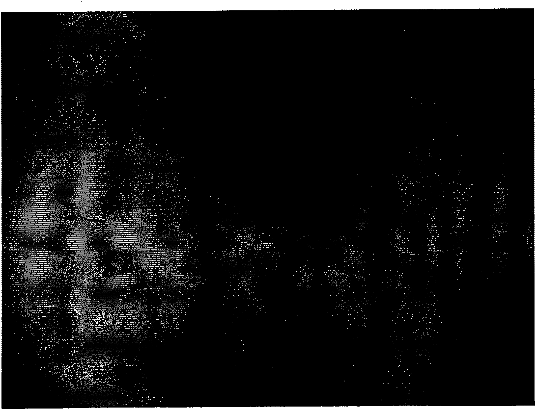 Antibacterial composite antibiotic and uses thereof