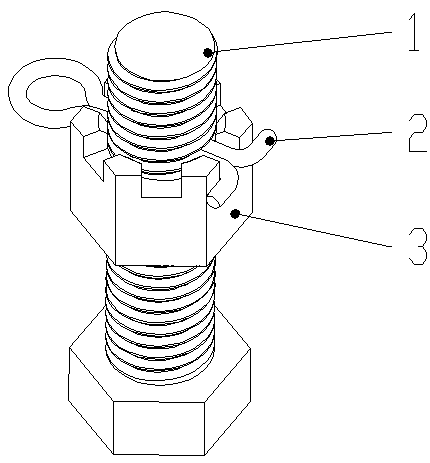 Shape memory alloy cotter