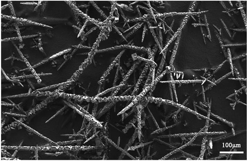 A kind of soft magnetic metal iron porous micro-wire and preparation method thereof