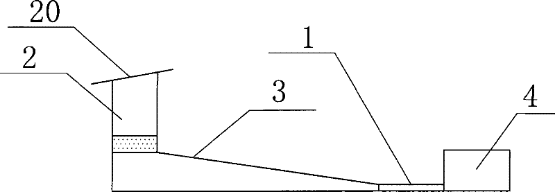 Tortoise-cultivating basin