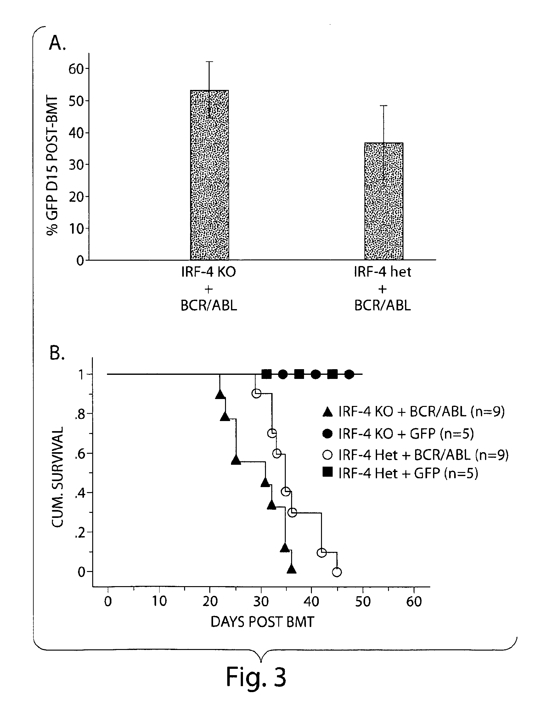 Irf-4 as a tumor suppressor and uses thereof