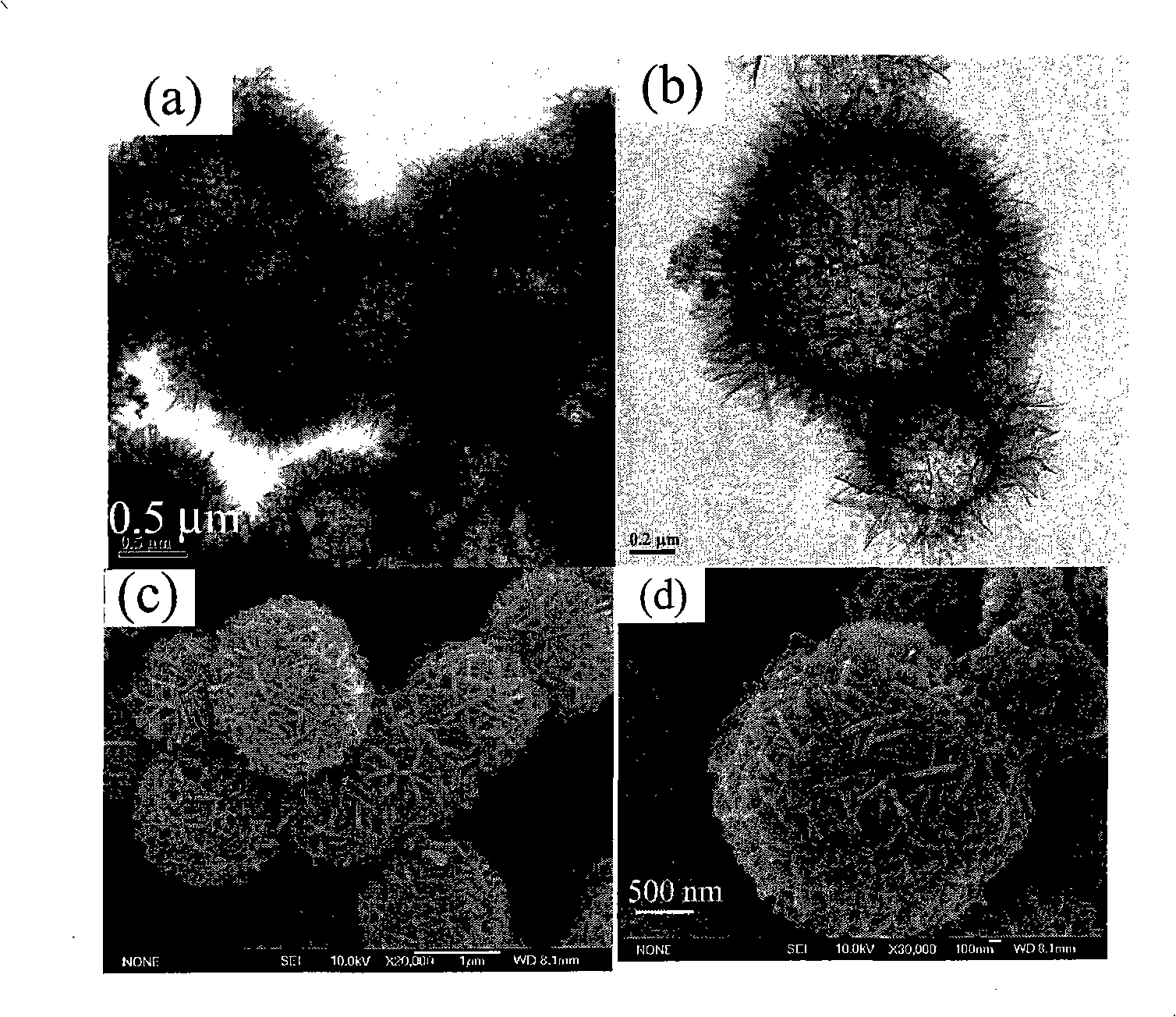 Method for preparing cupric oxide nano-hollow ball with forerunner reaction