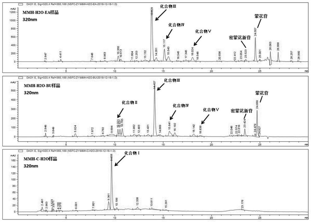 Buddleja officinalis extract, and preparation method and application thereof