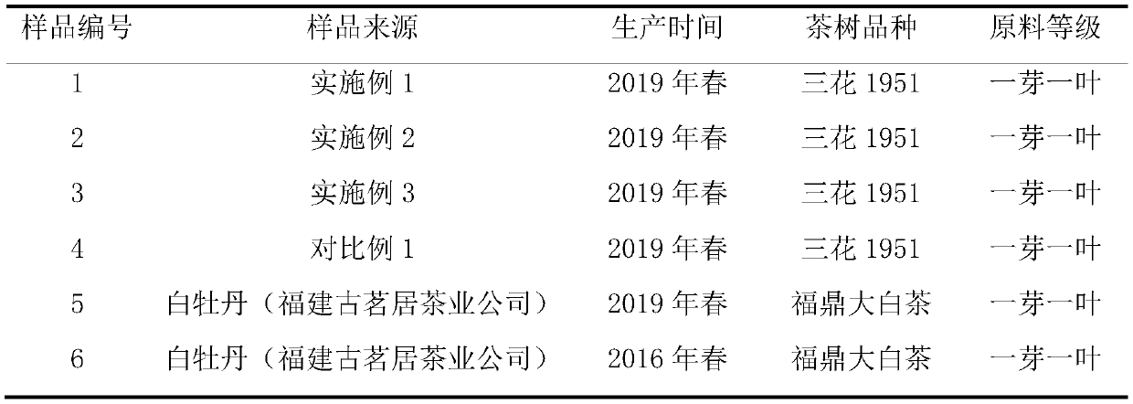 Method for processing white tea by Sanhua 1951 tea tree varieties