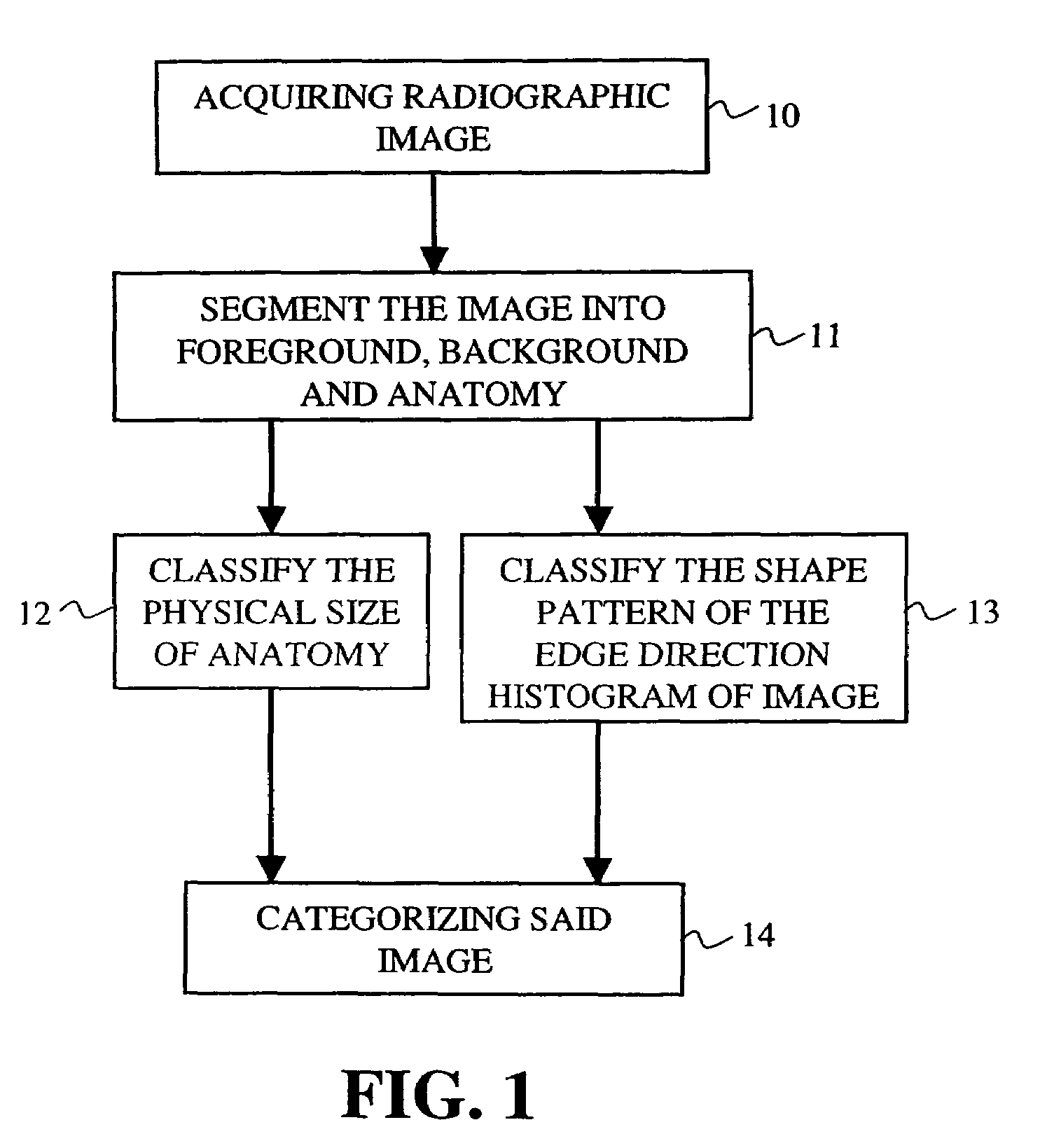 Automated radiograph classification using anatomy information