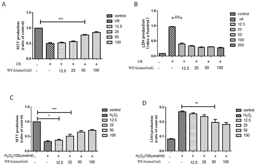 Application of withaferin A in preparation of medicine for treating fundus ischemic disease