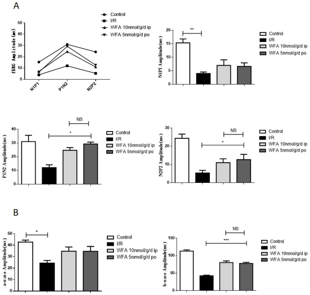 Application of withaferin A in preparation of medicine for treating fundus ischemic disease