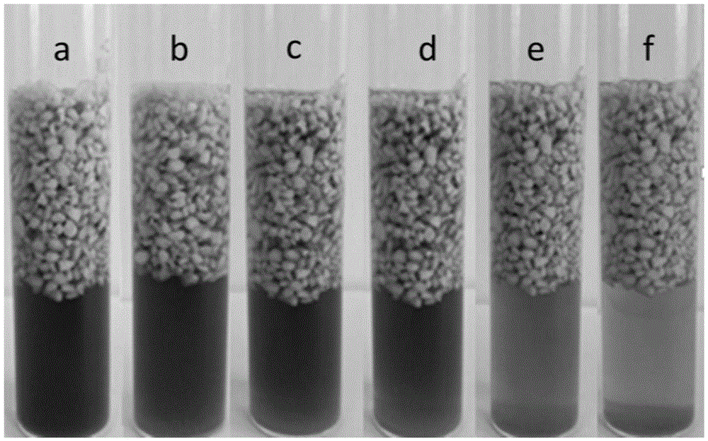 Method for tracking loss of calcium ions in real time and in situ