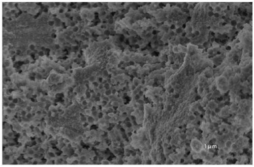 Preparation method of zirconium oxide-based adsorbing photocatalyst and photocatalyst