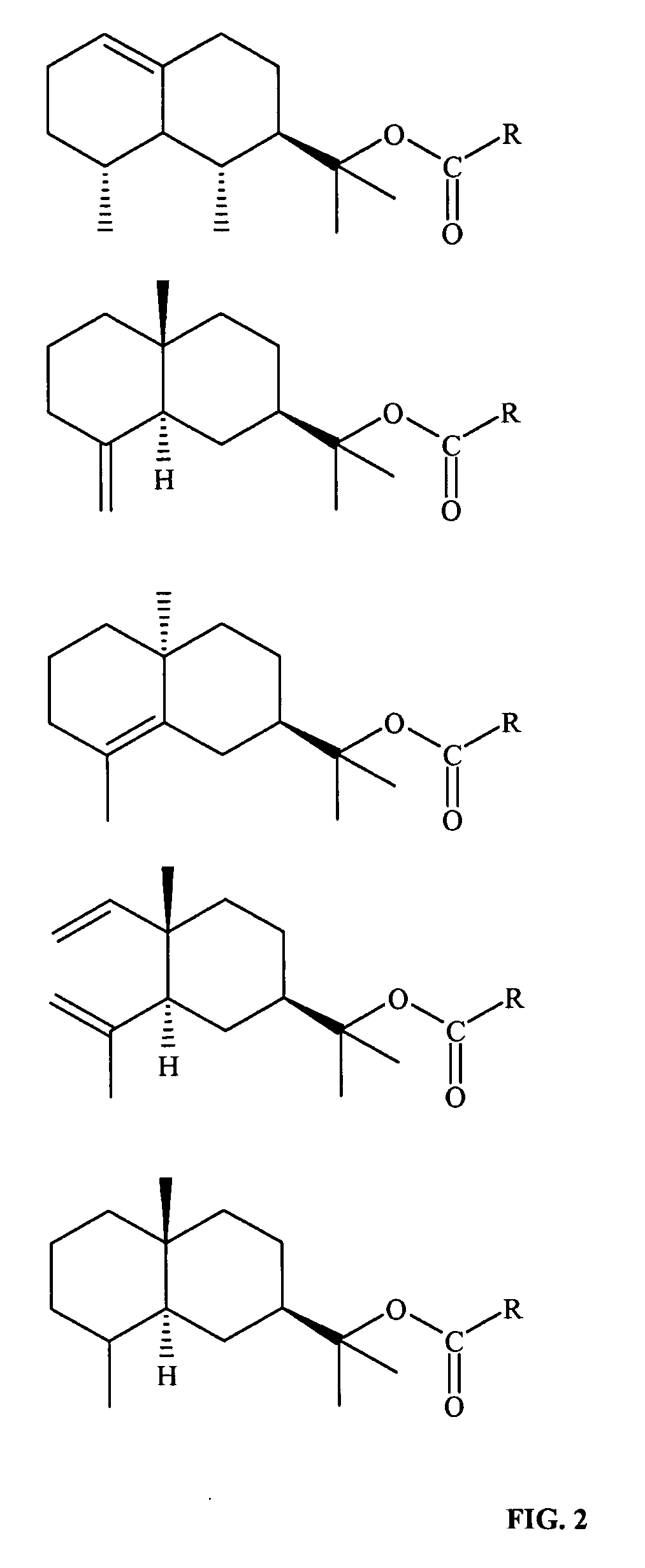 Derivatives of amyris alcohols and eudesmol for treating cold sores and herpes