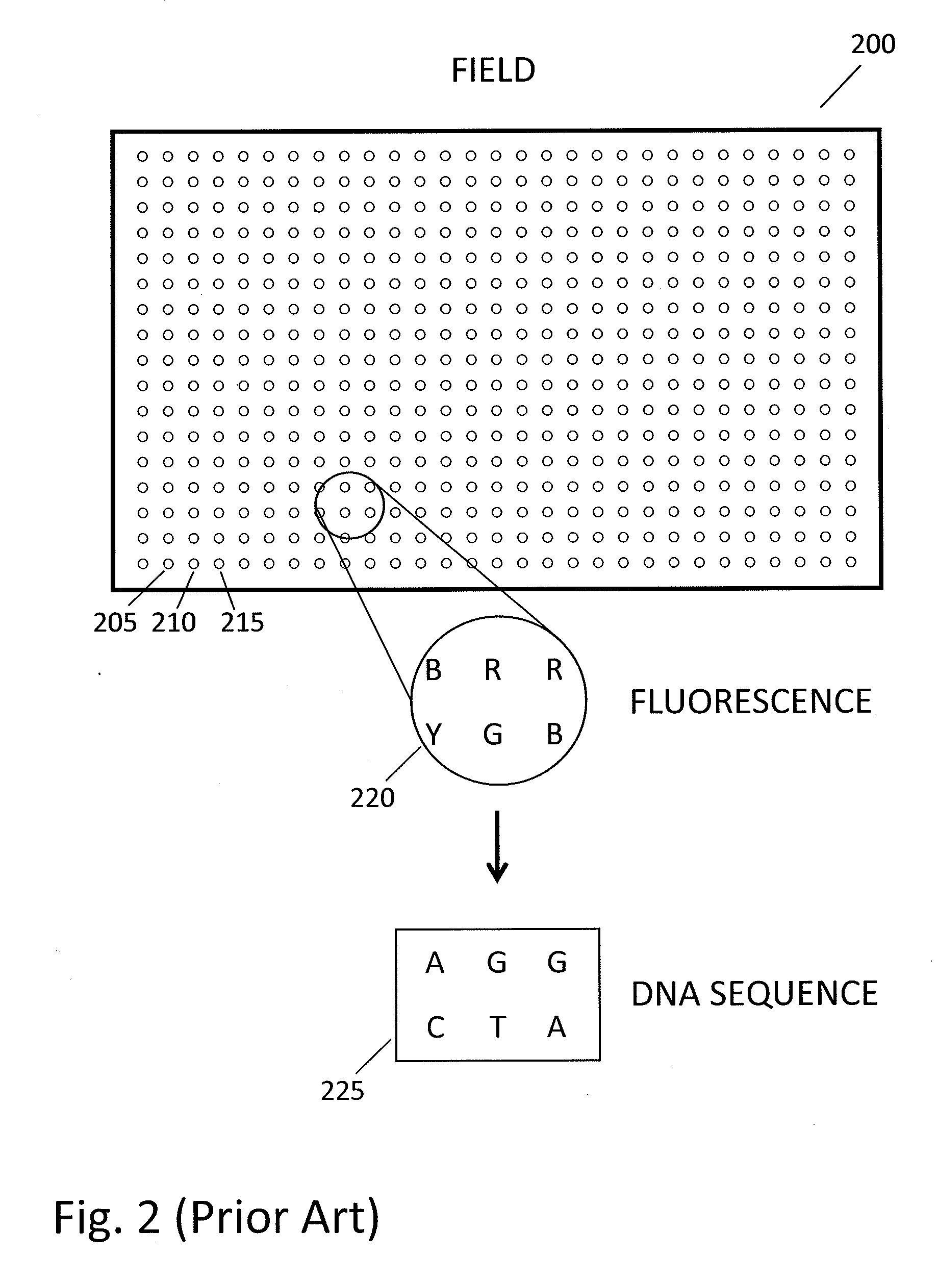Method and system for accurate alignment and registration of array for DNA sequencing