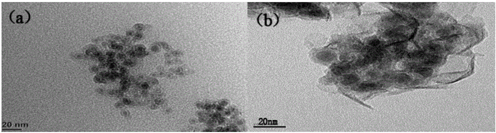 Nano composite material and preparation method thereof, and mercury ion detection method