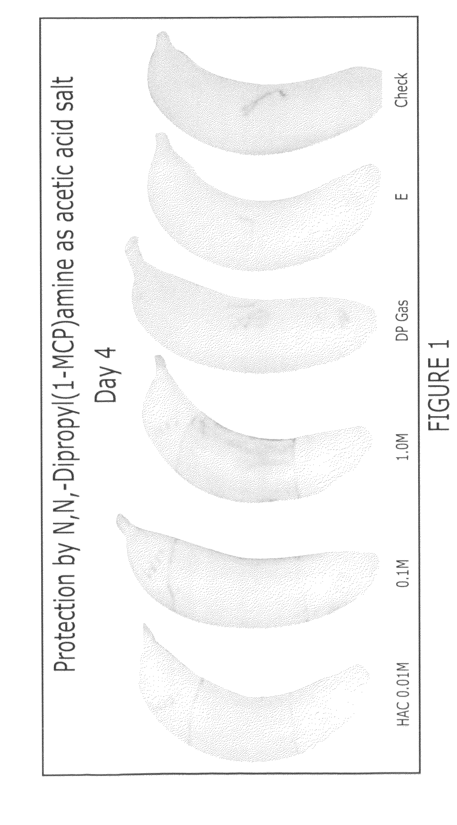 Methods of inhibiting ethylene responses in plants using cyclopropene amine compounds