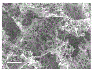 Cobalt and nitrogen codoped carbon-based oxygen reduction catalyst of three-dimensional hierarchical porous structure and preparation and application thereof