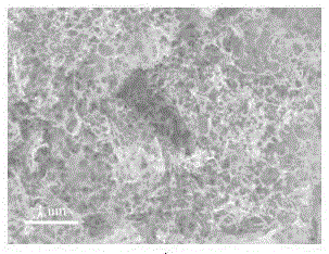 Cobalt and nitrogen codoped carbon-based oxygen reduction catalyst of three-dimensional hierarchical porous structure and preparation and application thereof