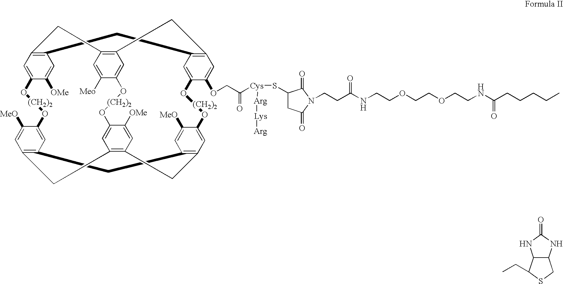 Method for detecting macromolecular conformational change and binding information