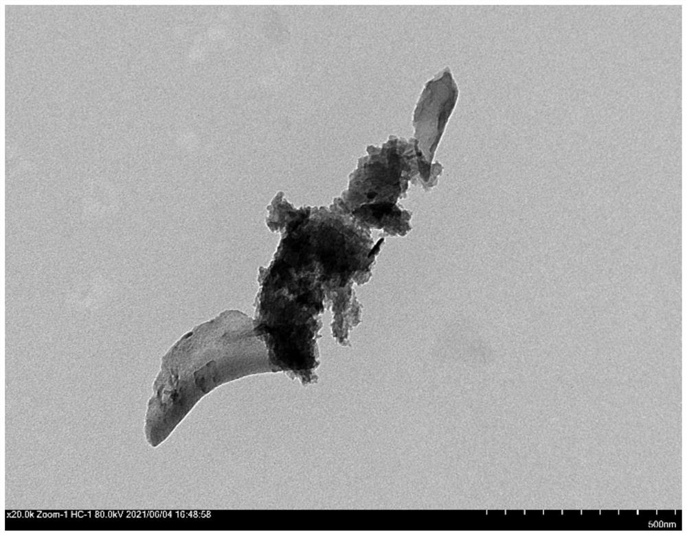 Hydrogel loaded with monatomic platinum and antitumor drug as well as preparation method and application of hydrogel