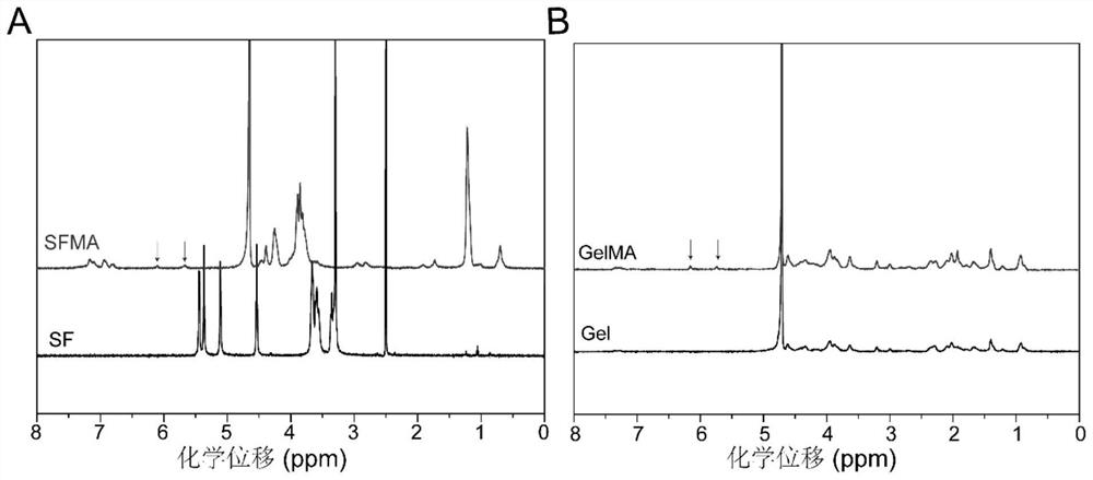 Hydrogel loaded with monatomic platinum and antitumor drug as well as preparation method and application of hydrogel