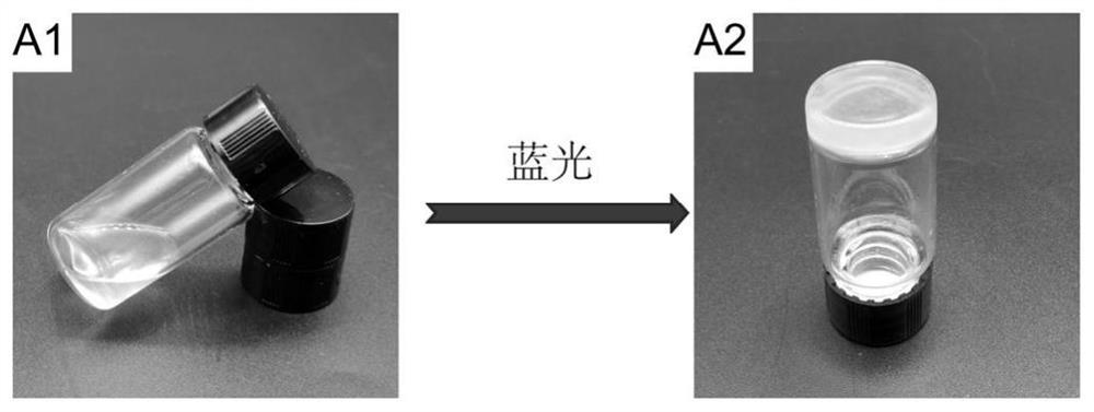 Hydrogel loaded with monatomic platinum and antitumor drug as well as preparation method and application of hydrogel