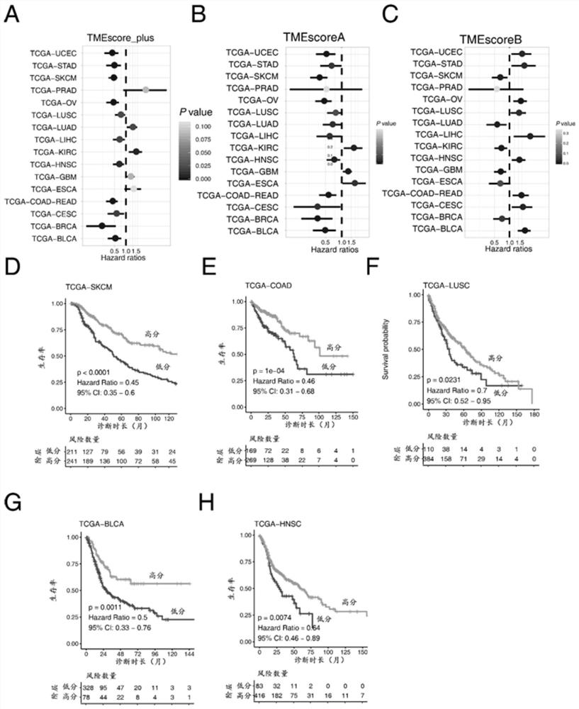 Gene sets, scoring models and their applications for assessing the tumor microenvironment