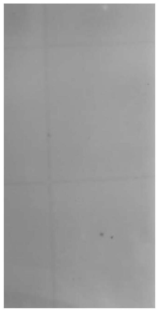 Method for preparing polyimide film from polyamide acid slurry