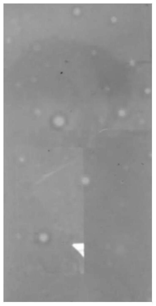 Method for preparing polyimide film from polyamide acid slurry