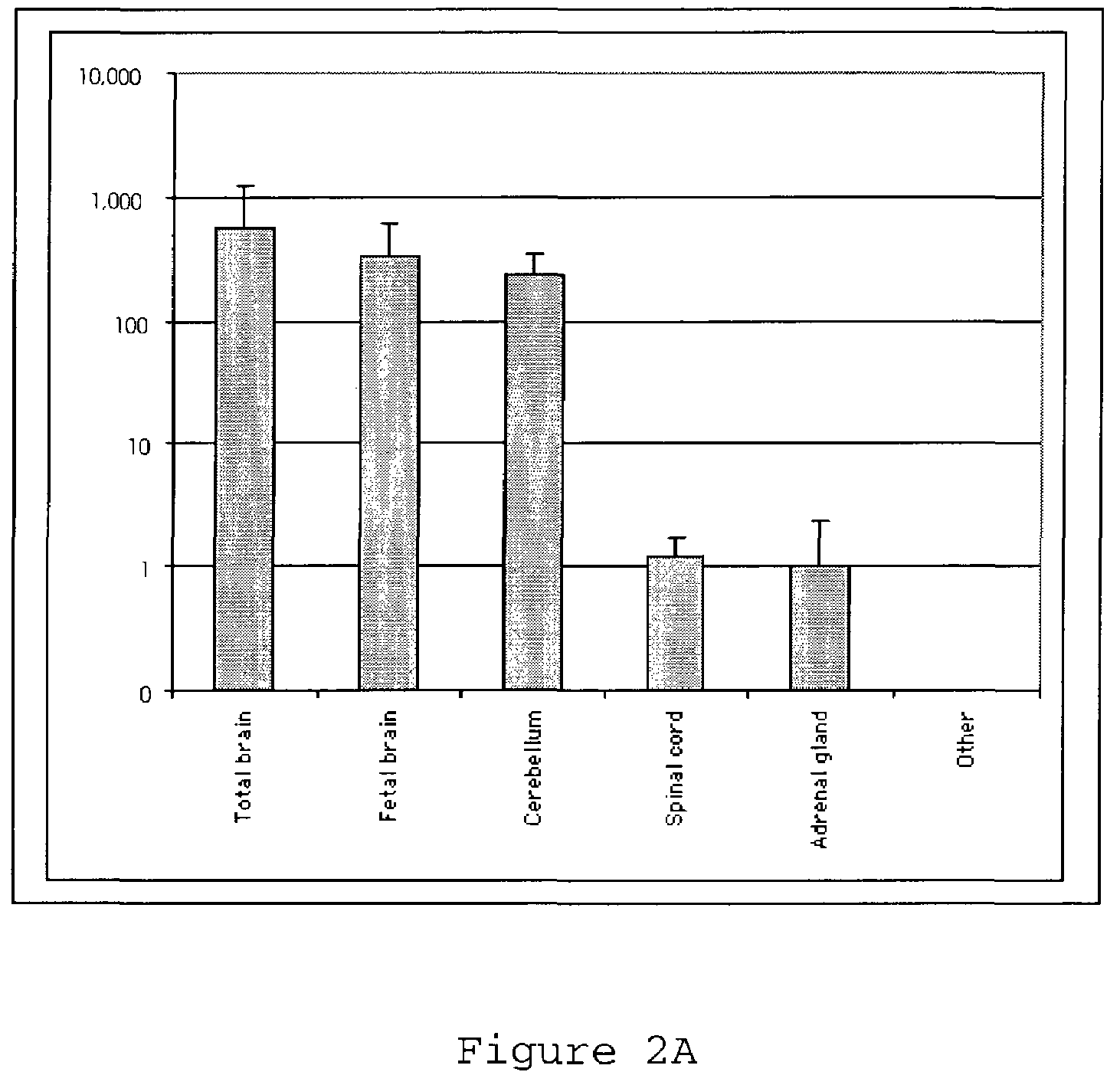 CHD5 encoding nucleic acids, polypeptides, antibodies and methods of use thereof