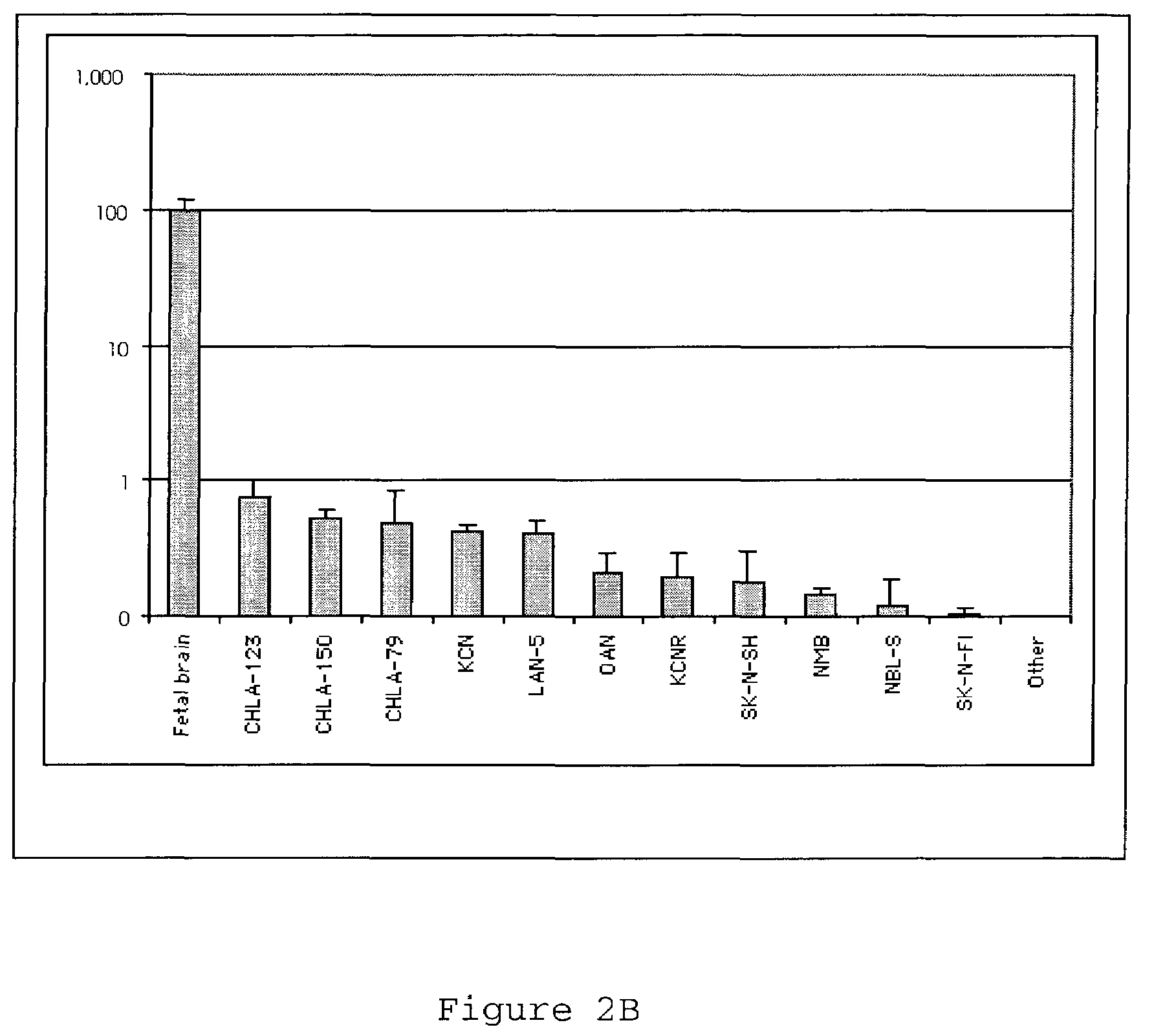 CHD5 encoding nucleic acids, polypeptides, antibodies and methods of use thereof