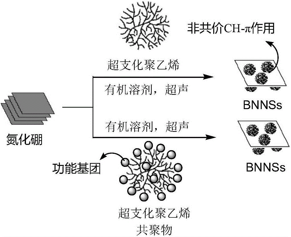 Efficient preparation method of boron nitride nanosheet and organic dispersion liquid thereof