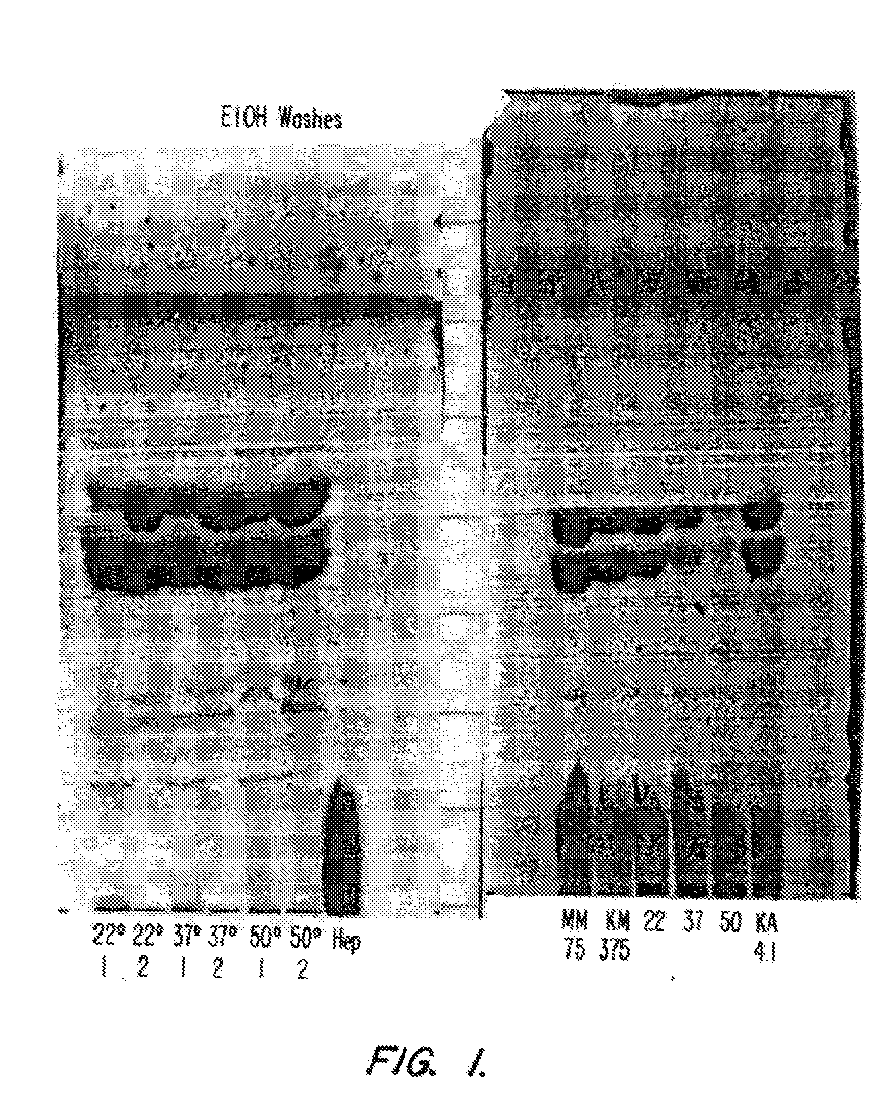 Methods for the production of 3-o-deactivated-4'-monophosphoryl lipid a (3d-mla)