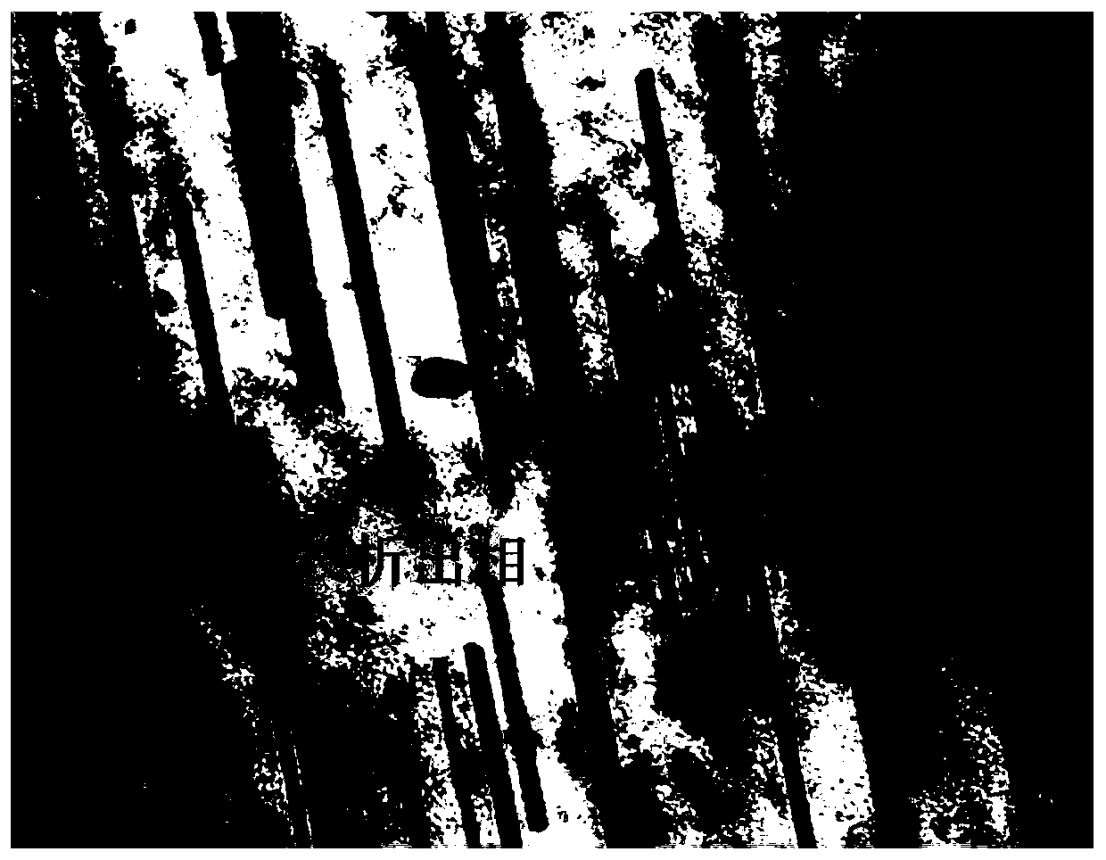 Preparation method of high-strength and high-thermal-conductivity carbon nanotube reinforced magnesium-based composite material