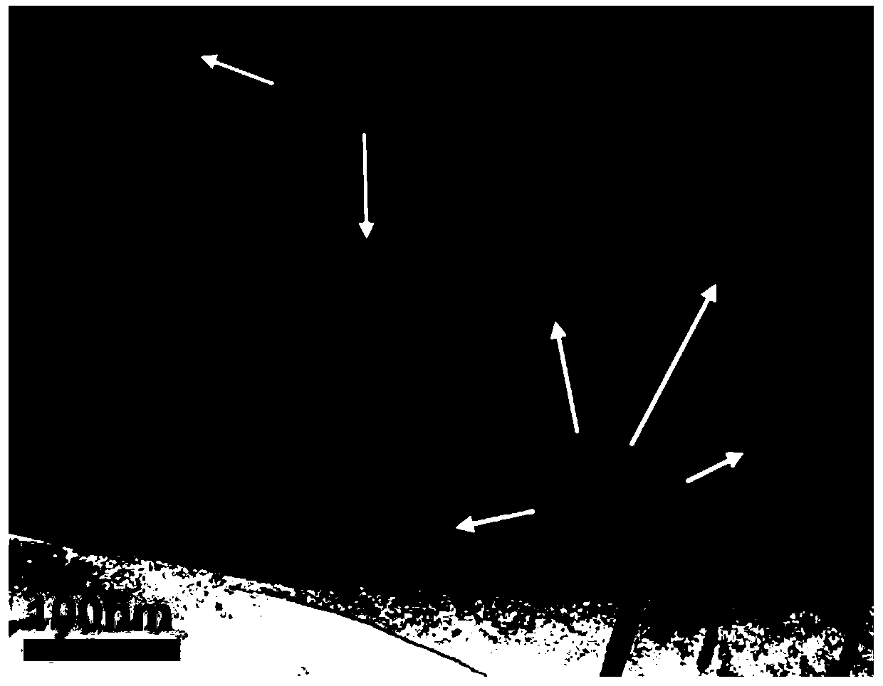 Preparation method of high-strength and high-thermal-conductivity carbon nanotube reinforced magnesium-based composite material