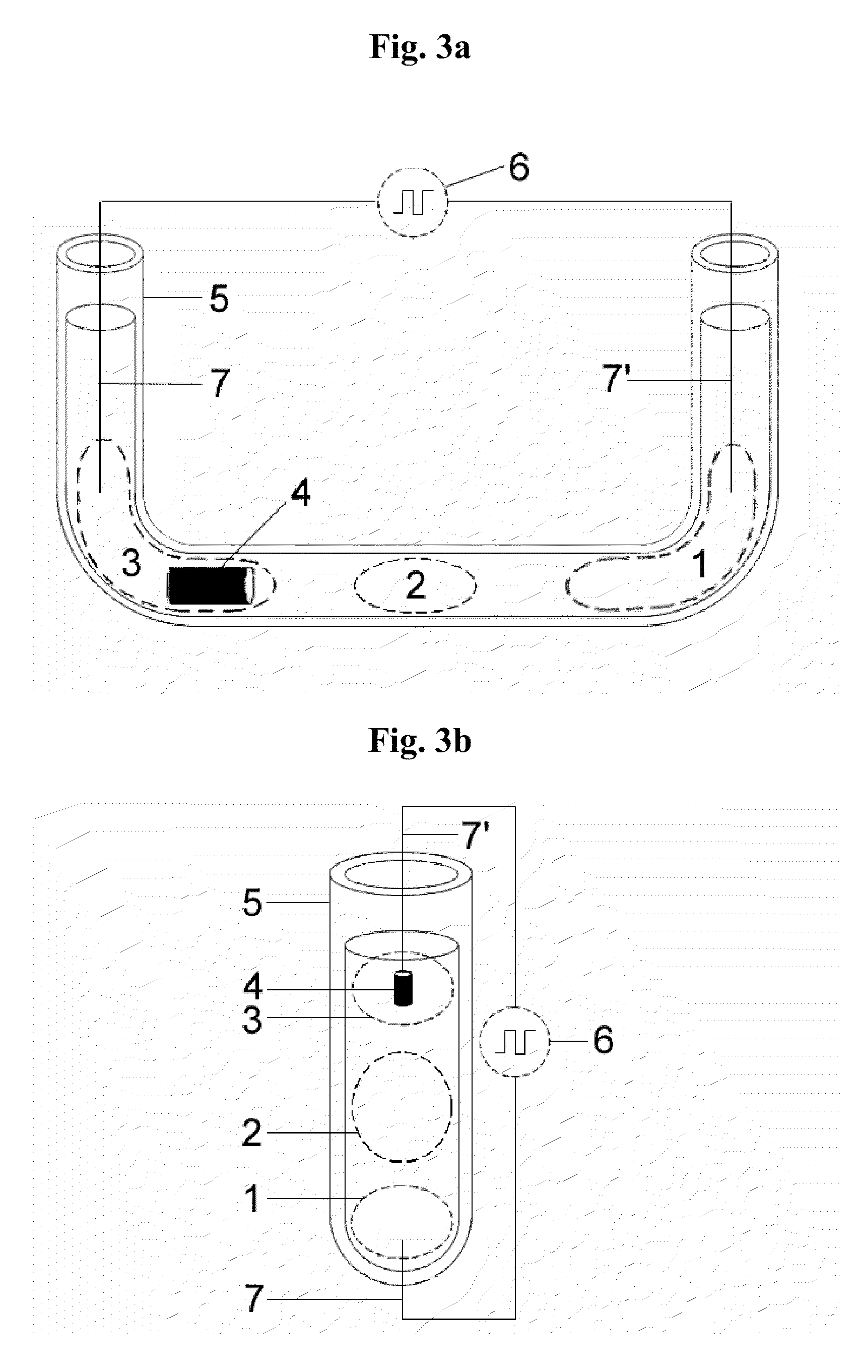 Method and apparatus for amplification of nucleic acid sequences using immobilized DNA polymerase