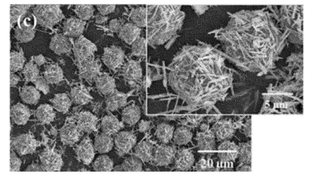 Thermoelectric composite having a thermoelectric characteristic and method of preparing same