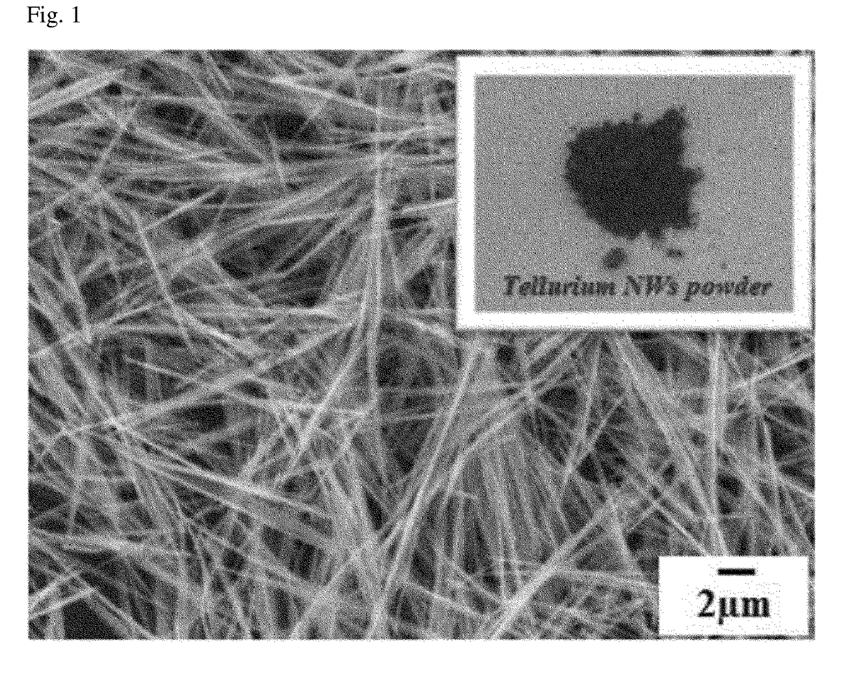 Thermoelectric composite having a thermoelectric characteristic and method of preparing same