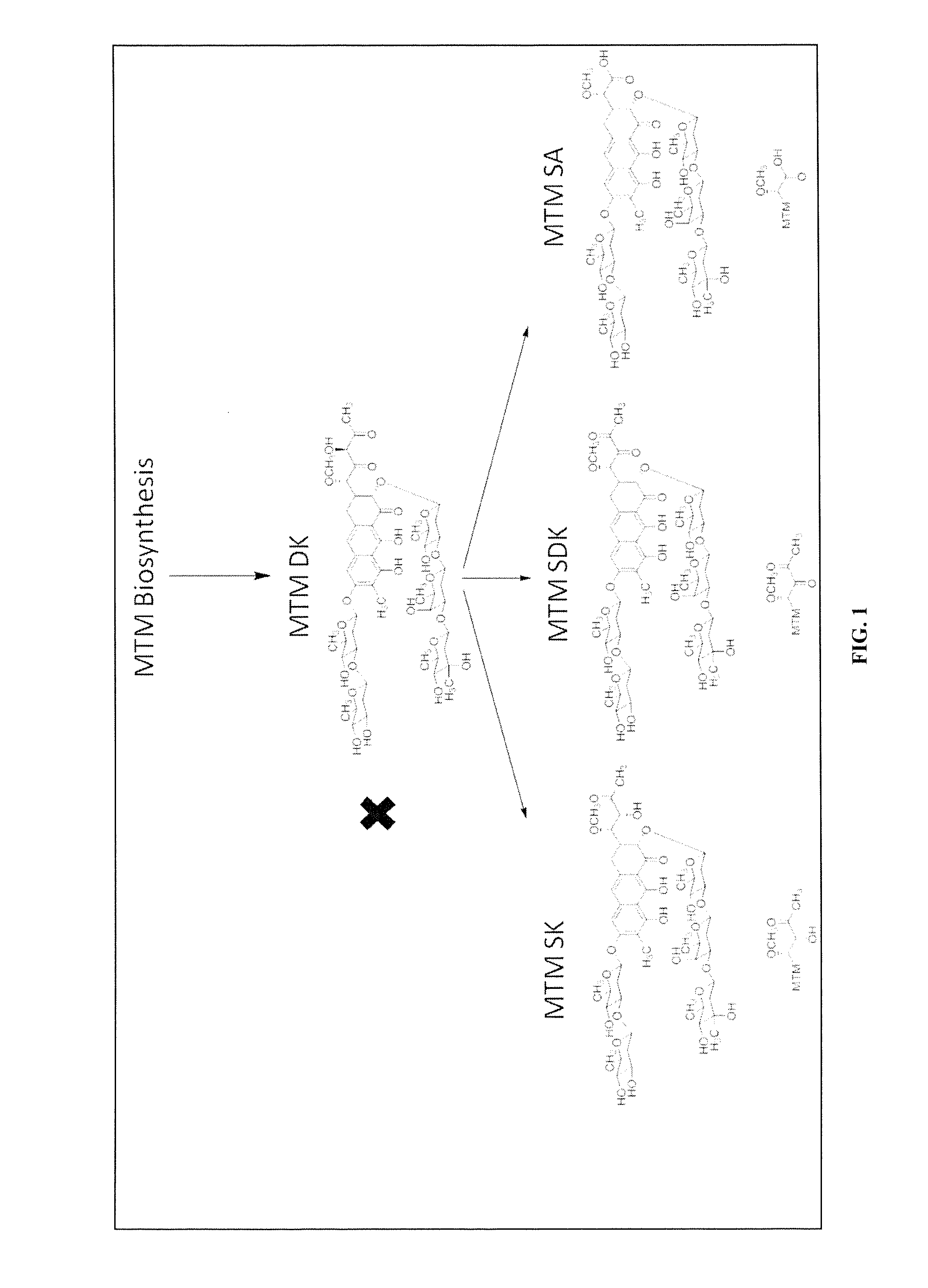 Semi-synthetic mithramycin derivatives with Anti-cancer activity