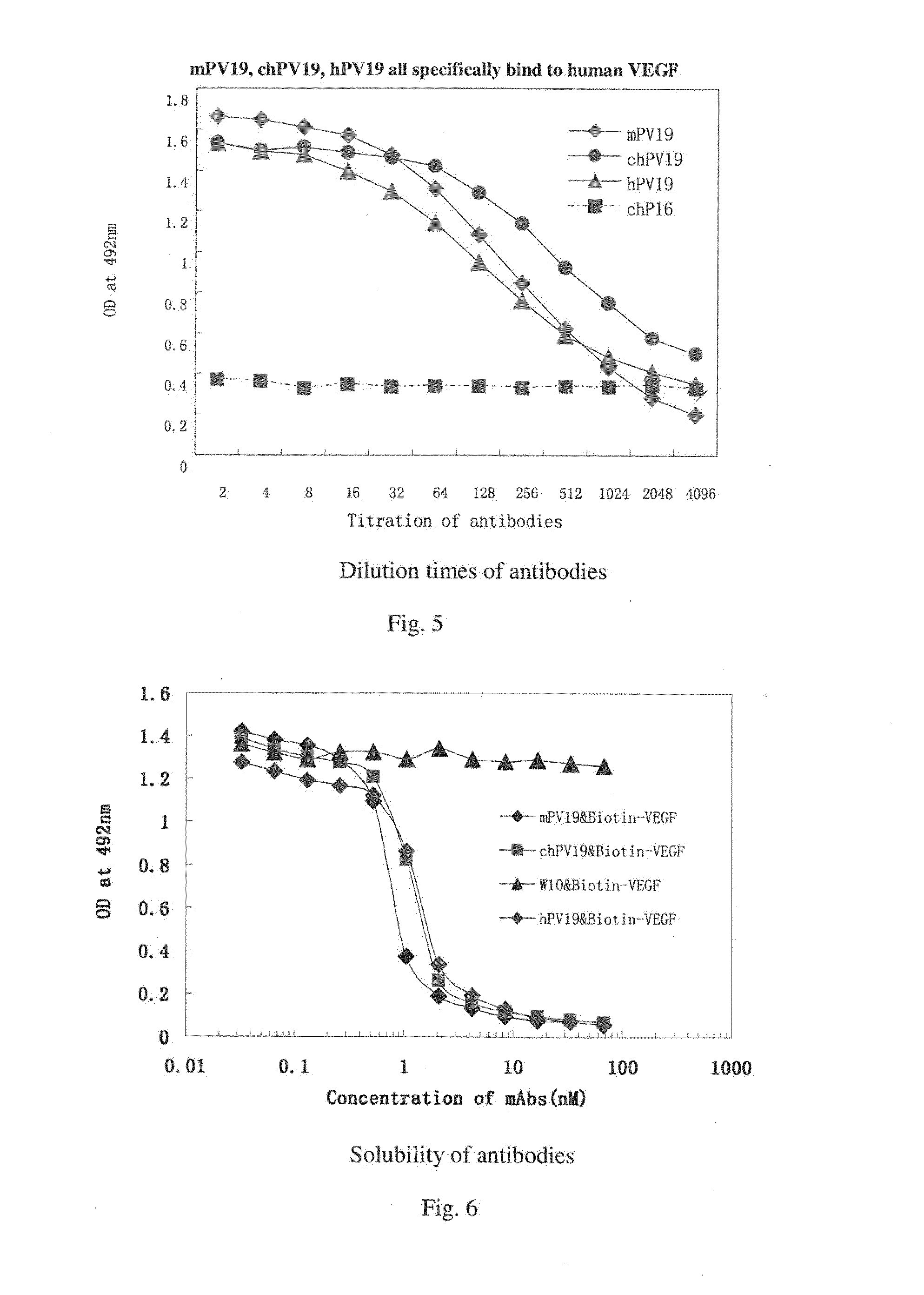 Monoclonal antibody for antagonizing and inhibiting binding of vascular endothelial cell growth factor and its receptor, and coding sequence and use thereof