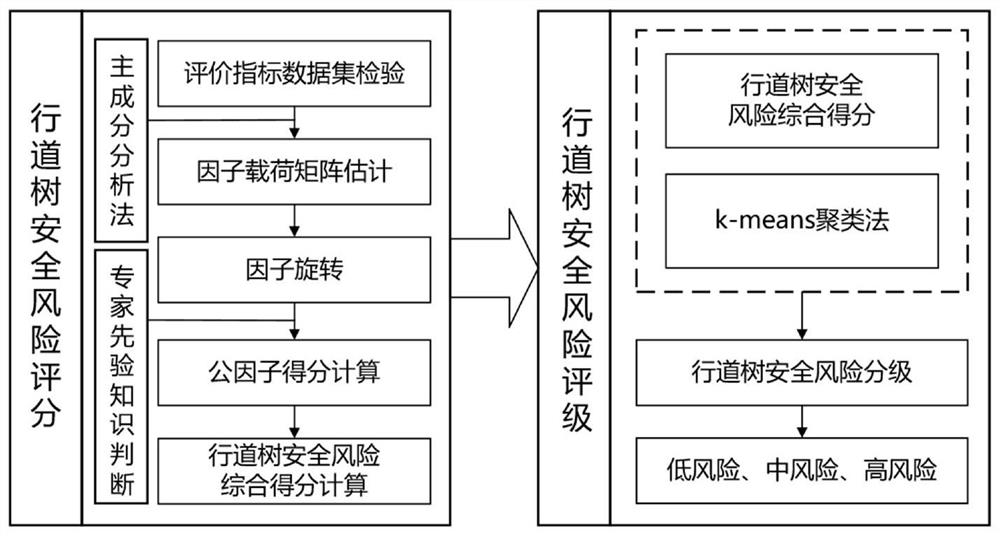 Method for evaluating security risk level of street tree based on tree attribute data