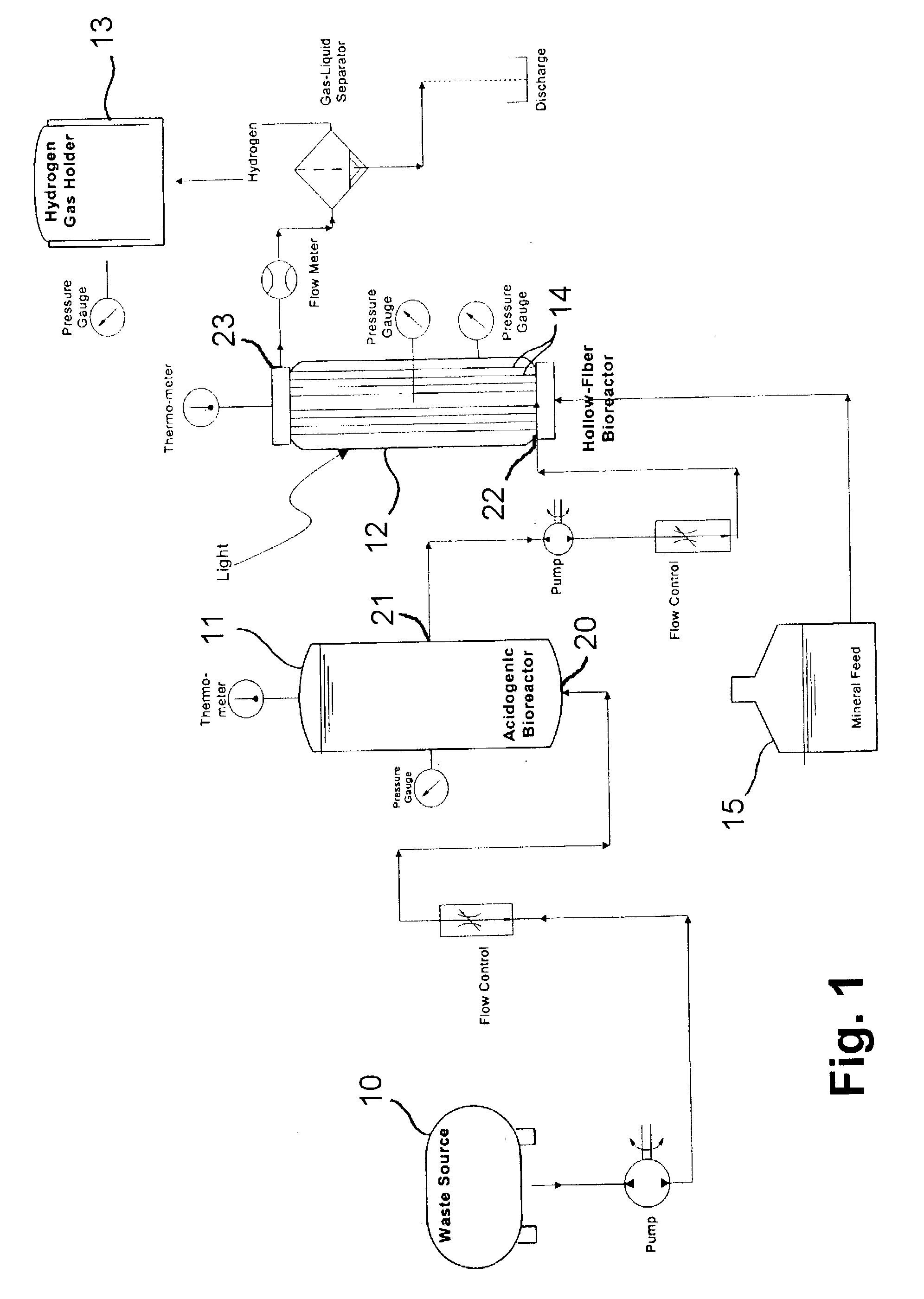 Method and apparatus for hydrogen production from organic wastes and manure