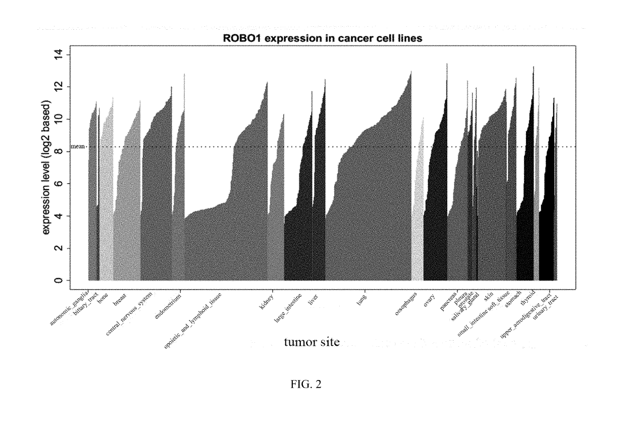 Slit2d2-chimeric antigen receptor and application thereof