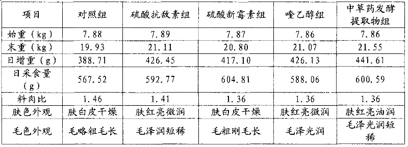 Method for preparing antibiotic substituent for feed by probiotic asynchronous fermentation of Chinese herbal medicine