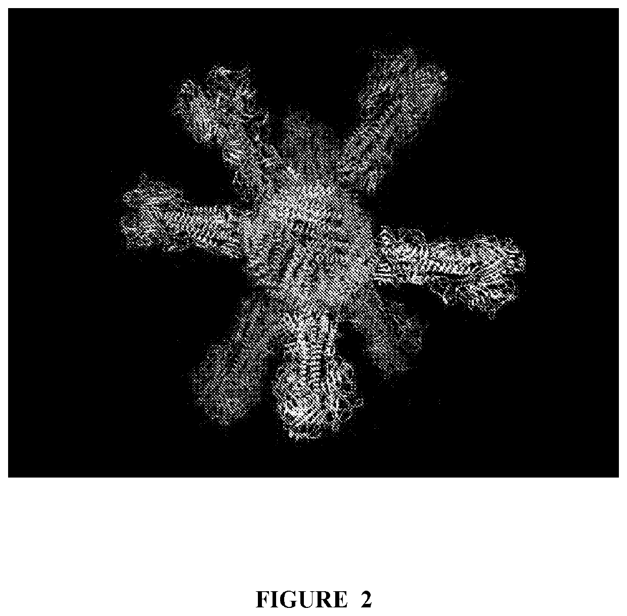 NSP10 self-assembling fusion proteins for vaccines, therapeutics, diagnostics and other nanomaterial applications